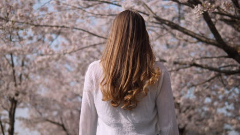 Mujer-Rubia-Caminando-Bajo-Los-Cerezos-En-Flor-Durante-La-Primavera-En-El-Parque-Forestal-De-Ciudadanos-Maeheon-En-Seocho,-Seúl,-Corea-Del-Sur