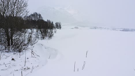 Paisaje-Cultivado-Con-Algunas-Casas-Al-Fondo-Hibernando-Bajo-La-Nieve-En-Un-Día-Nevado