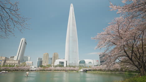 Rascacielos-Lotte-World-Tower-En-Seúl-Con-Vistas-Al-Lago-Seokchon-En-El-Parque-Songpa-Naru-Bajo-Los-Florecientes-árboles-De-Sakura