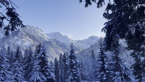 Unglaubliche-Aussicht-Auf-Das-Tetragebirge-Im-Süden-Polens