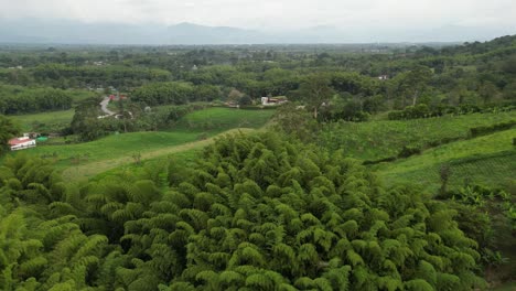 Aerial-view-of-the-green-landscape-in-the-Coffee-Axis-near-the-city-of-Armenia-in-the-Quindío-department-of-Colombia