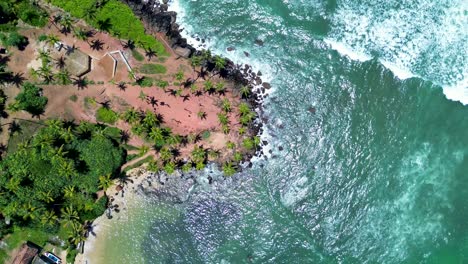 Aerial-drone-view-of-waves-in-Coconut-tree-hill-plantation-palm-trees-Mirissa-Point-bay-Sri-Lanka-Asia-surfing-beach-travel-tourism-sightseeing-Weligama