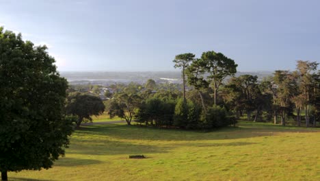 Panorámica-Del-Verde-Paisaje-Urbano-Nativo-De-Cornwall-Park,-Auckland,-Nueva-Zelanda