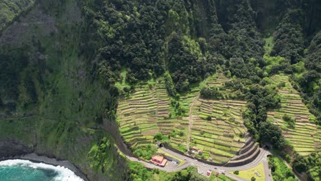 Cars-Coming-Out-From-Joao-Delgado-Tunnel-With-Vineyard-Terraces-In-Seixal,-Portugal