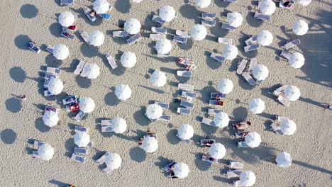 Top-Down-Sun-White-Umbrellas-Pattern-in-the-Beach,-Cyprus