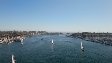 Sailboats-Cruising-Along-The-Marina-Del-Rey-In-Los-Angeles,-California,-USA