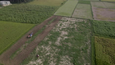 Tractor-Agrícola-Arando-Un-Campo