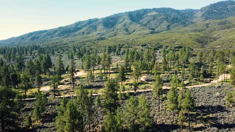 Vegetation-And-Mountains-Surrounding-Lake-Hemet-In-California,-USA---Drone-Shot