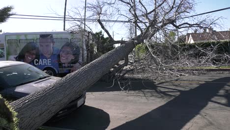 Umgestürzter-Baum-Auf-Auto-