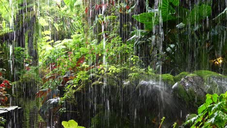 Cloud-Forest-greenhouse-conservatory-at-Gardens-by-the-bay,-lush-greenery-and-waterfall,-the-iconic-attraction-of-Singapore