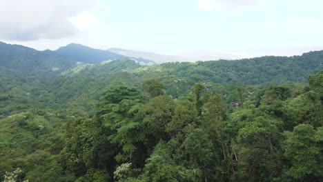 Drone-flies-low-above-the-trees-of-the-Sierra-Nevada-mountains,-Colombia