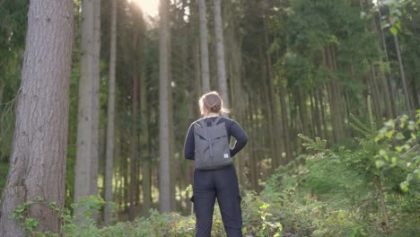 Girl-adventurer-stands-and-admires-with-wonder-the-forest-landscape-illuminated-by-the-spring-sun