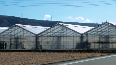 Invernadero-Para-El-Cultivo-De-Plantas.-Día-Soleado