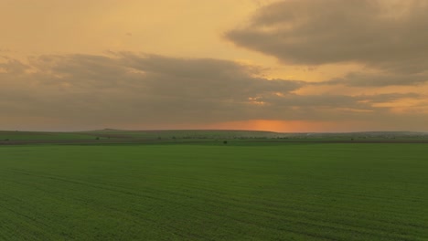 Aerial-low-shot-showing-green-agricultural-fields-sunset-in-the-background,-HDR