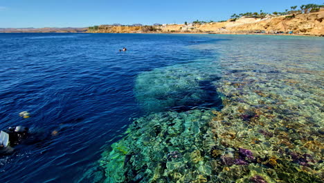 Scuba-divers-in-Egypt's-Red-Sea---swimming-on-the-surface-in-crystal-clear-water