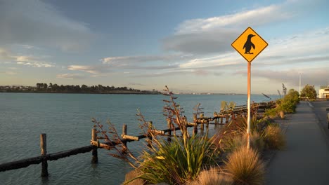 Famous-Penguin-sign-in-Caroline-Bay-Beach,-New-Zealand