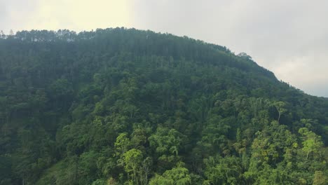 Tropical-forest-on-the-Slope-of-hill,-Indonesia