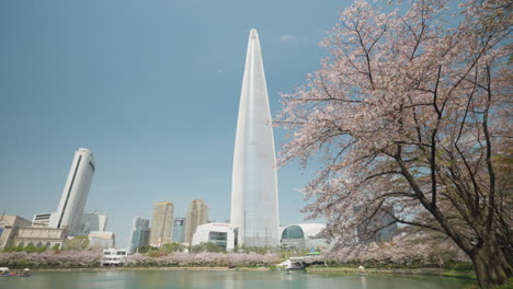 Revealing-Lotte-World-Tower-Skyscraper-in-Seoul-From-Behind-Blooming-Sakura-Trees---dolly-side