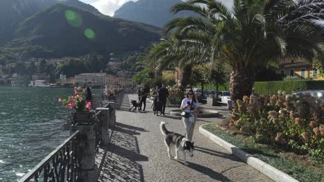 Young-Woman-Walking-Her-Dog-on-the-Promenada-of-Menaggio-Town-near-Lake-Como