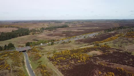 Radfahrer-Auf-Dem-Lande-Newforest,-Großbritannien