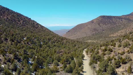 Mountains-And-Vegetation-In-Death-Valley,-California,-USA---Drone-Shot
