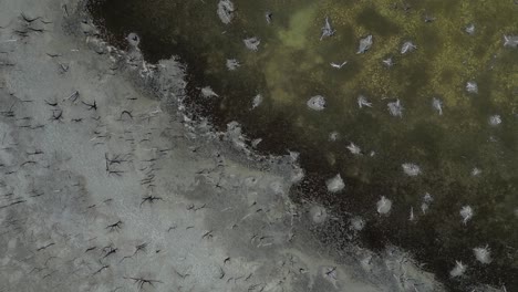 Drone-top-down-showing-drought-on-lake-bed,-cracked-ground-after-heat