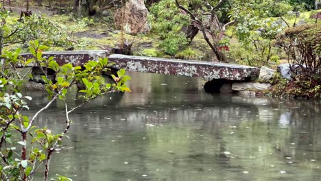 Raindrops-Over-Pond-With-A-Bridge-In-The-Konchi-in-Temple,-Kyoto,-Japan