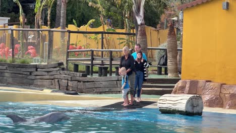 Los-Turistas-Esperan-Para-Tomar-Fotografías-Con-Delfines-Selwo-Marina-World-Benalmádena-Málaga-España