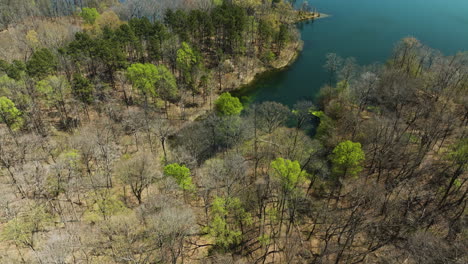 Forest-At-The-Shore-Of-Glen-Springs-Fishing-Lake-in-Tipton-County,-Tennessee,-United-States