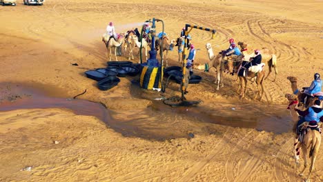 Aerial-view-of-a-camels,-people-and-cars,-at-a-water-well-in-the-desert---pull-back,-drone-shot