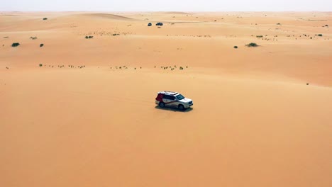 Drone-shot-around-a-off-road-4x4-car,-driving-on-the-Arabian-Desert,-sunny-day,-in-Saudi-Arabia---circling,-drone-shot