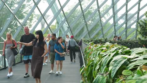 Turistas-Caminando-Por-La-Pasarela-Aérea-Del-Invernadero-Del-Bosque-Nuboso-En-Los-Jardines-Junto-A-La-Bahía-En-Singapur