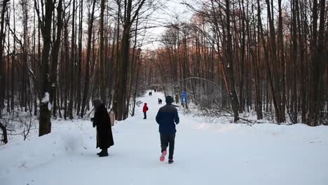 Tag-In-Einem-Wald,-Menschen-Gehen-Spazieren,-Laufen-Und-Treiben-Sport