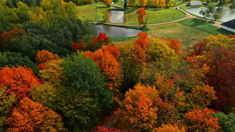 Multicolor-autumn-trees-aerial-Flying-Multicolored-Mixed-Autumn-Woodland