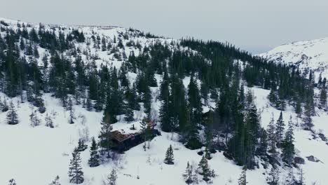 Cabaña-De-Montaña-En-Medio-De-Un-Bosque-De-Pinos-En-La-Nieve-En-Verran,-Noruega