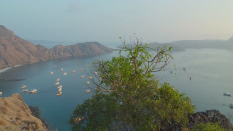 Boats-moored-in-bay,-Padar-island-in-Indonesia