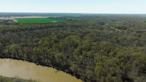 Wälder-über-Dem-Lower-Hatchie-National-Wildlife-Refuge-In-Tennessee,-USA