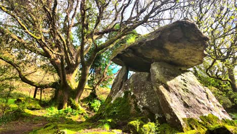 Timelapse-Paisaje-Místico-Gaulstown-Dolmen-Waterford-Irlanda-Estructura-Antigua-Paisaje-Atemporal-Lugar-Hermoso-Y-Místico-De-Los-Antepasados-Y-Antiguos