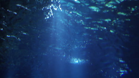Tiefes-Wasser-Mit-Fischen-Im-Dunklen-Kino-Ansicht,-Wenn-Die-Sonne-Durchkommt