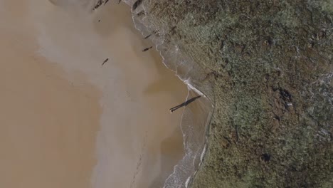 Vertical-aerial-video-people-walk-at-white-sand-beach-sea-waves-arrive-at-shore-clean-mediterranean-landscape