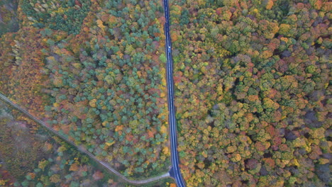 Imágenes-De-Drones-Sobre-Un-Bosque-Polaco-En-Otoño,-Que-Muestran-Los-Vibrantes-Colores-Del-Otoño,-Una-Carretera-Sinuosa-Con-Automóviles-Y-La-Impresionante-Vista-Aérea.