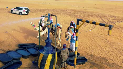 Aerial-drone-view-of-a-camels,-people-and-a-car,-at-a-water-well-in-the-Arabian-desert,-in-Saudi-Arabia