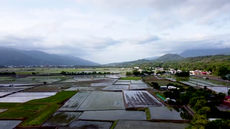 Aerial-view-of-countryside-and-rice-fields-in-Yokohama-city,-Kanagawa-Prefecture,-Japan