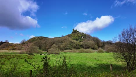 Ländliche-Szene-In-Irland-Ruinen-Von-Dunhill-Castle-Auf-Einem-Hügel-Kühe-Genießen-Die-Frühlingssonne-Und-Bauschige-Weiße-Wolken-Huschen-über-In-Waterford