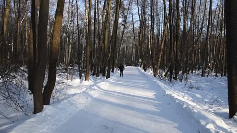 Man-walks-in-a-snow-covered-road-inside-a-forest