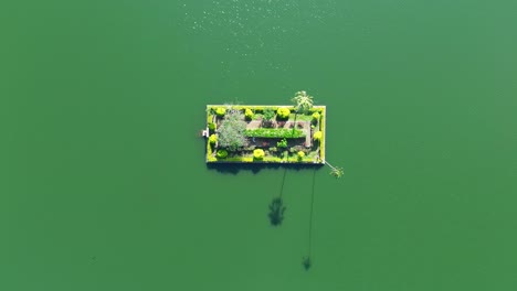 Aerial-drone-landscape-view-of-floating-plants-in-garden-bed-with-palm-trees-Kandy-Lake-artificial-water-catchment-Sri-Lanka-Asia-travel-holidays