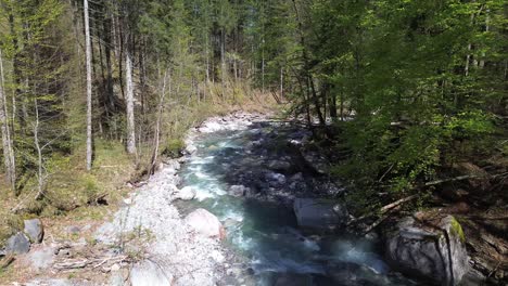 4K-Drohnenflug-über-Einen-Wunderschönen,-Von-Wald-Umgebenen-Gebirgsfluss-An-Einem-Sonnigen-Tag