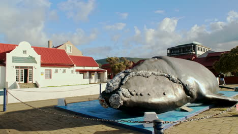 Huge-whale-sculpture-in-front-of-Whale-Museum-in-famous-Hermanus,-South-Africa