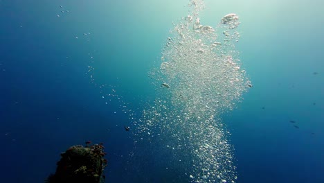 Underwater-bubbles-uprise-in-clean-ocean-water-sun-shining-above-scuba-diving-trip-perspective