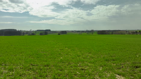 Frische-Immergrüne-Felder-über-Landwirtschaftlichen-Flächen-An-Einem-Sonnigen-Tag